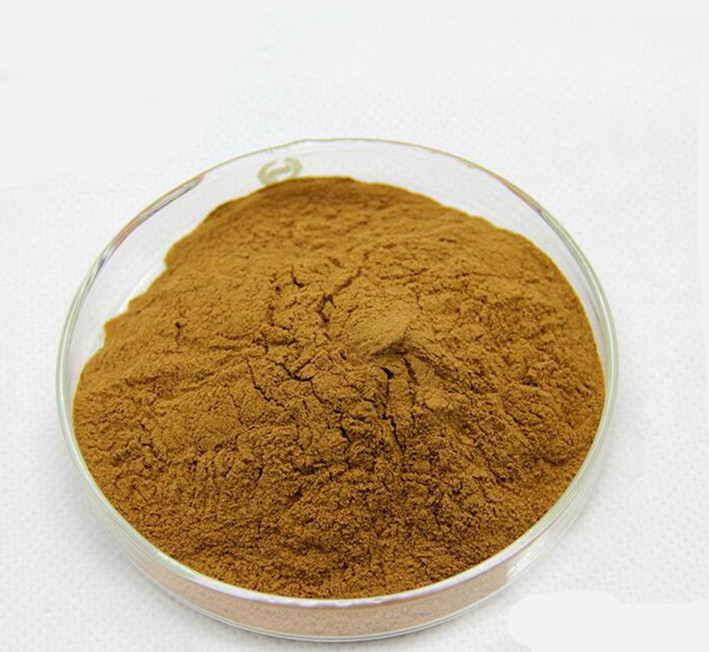 olive leaf extract hydroxytyrosol.jpg